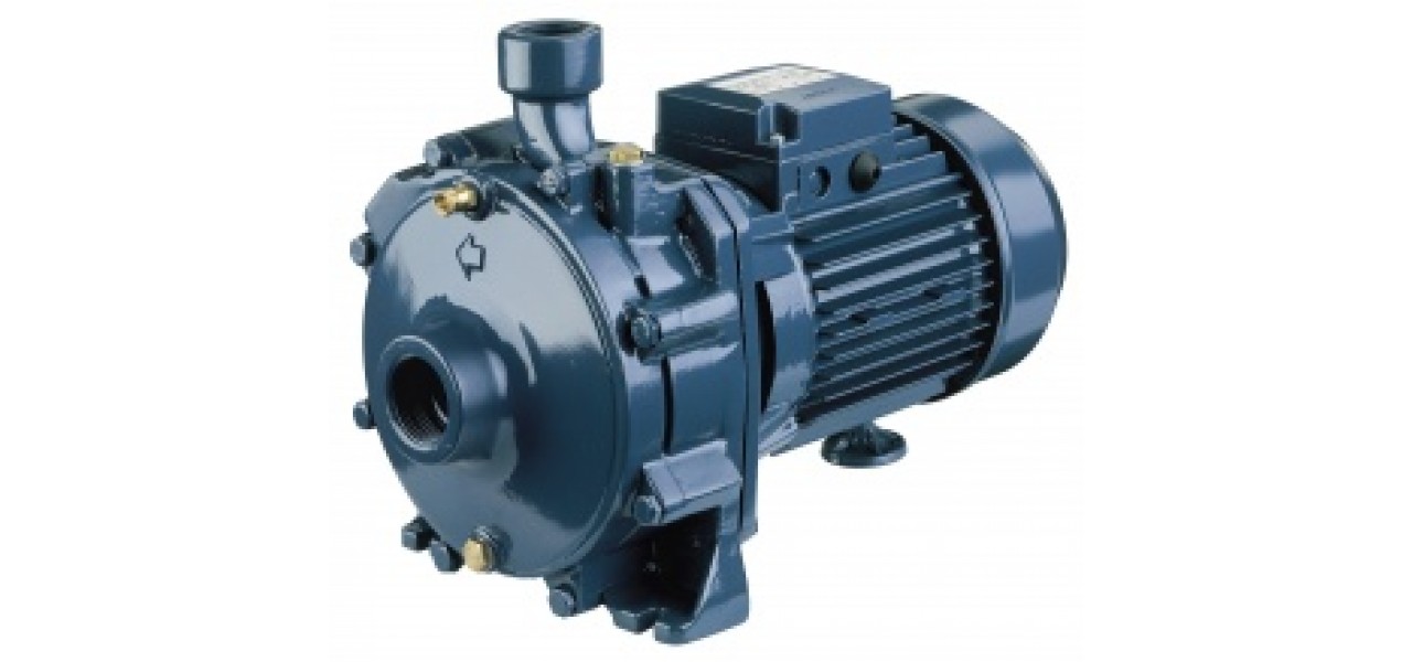 Elettropompa centrifuga bigirante in ghisa EBARA CDA/I 1.50 T Trifase
